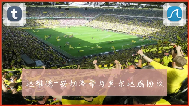 达维德-安切洛蒂与里尔达成协议